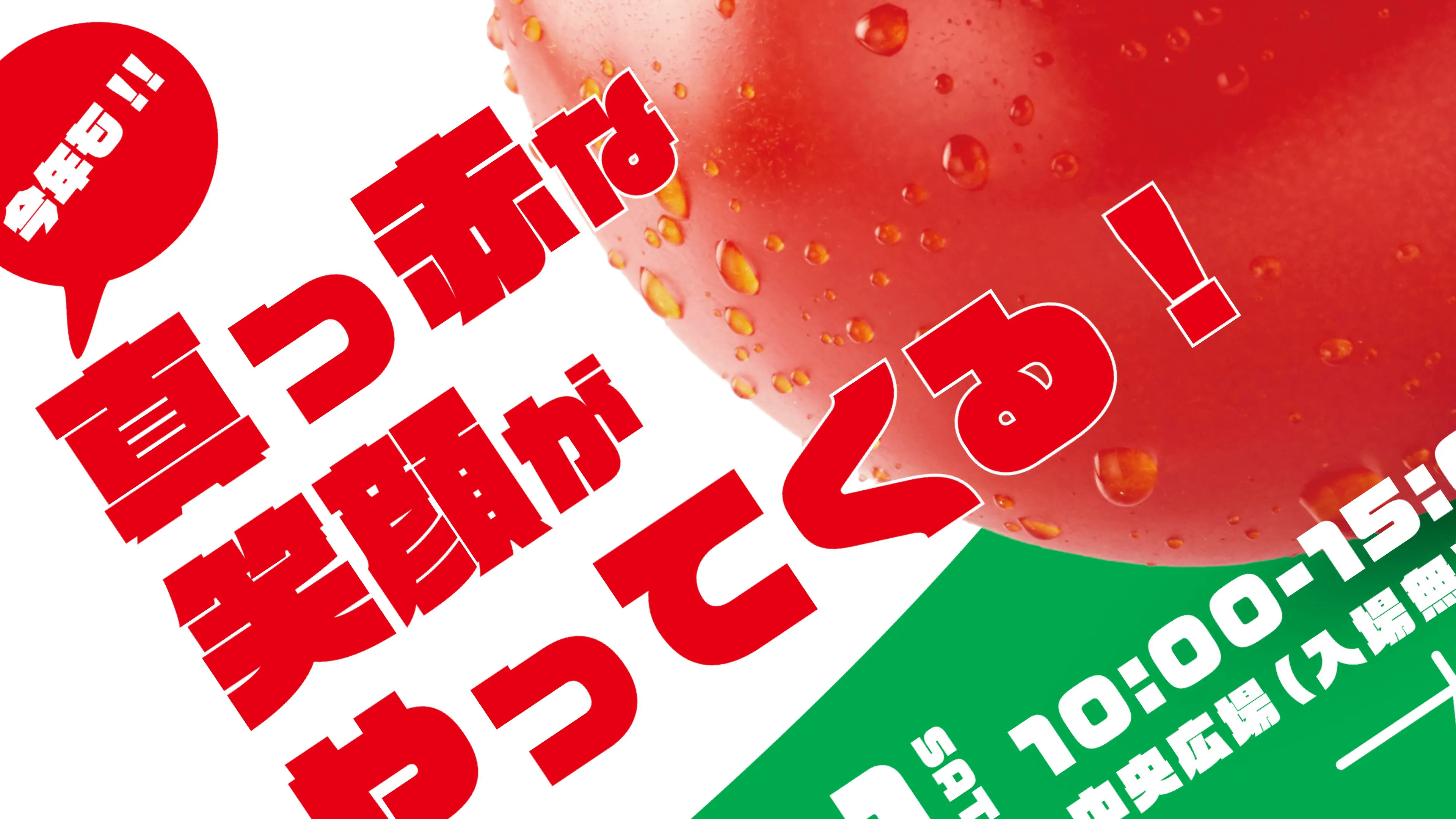 TOMATO FESTA